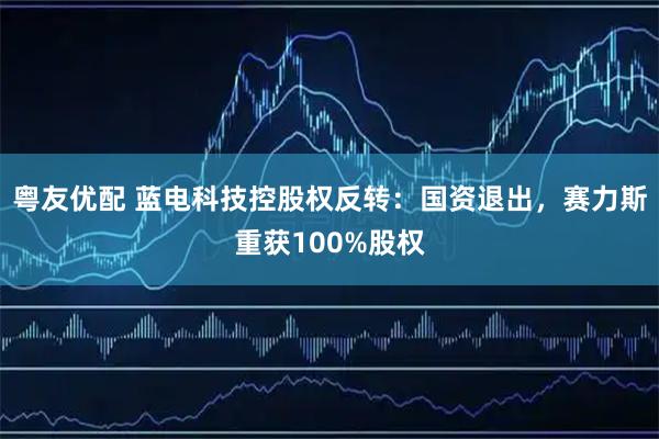 粤友优配 蓝电科技控股权反转:国资退出,赛力斯重获100%股权