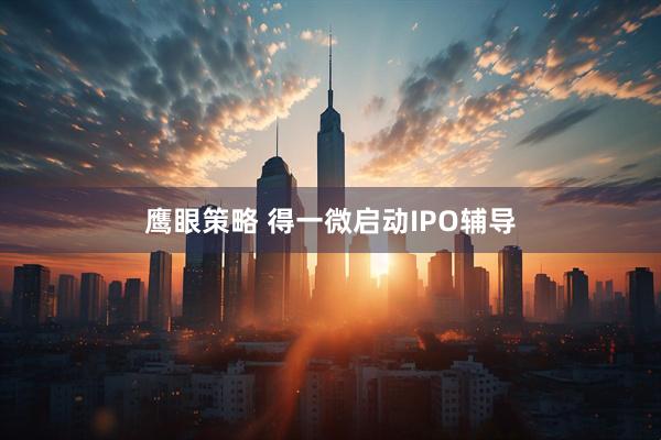 鹰眼策略 得一微启动IPO辅导